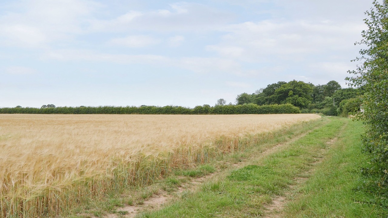 Photo of Others in Stalham