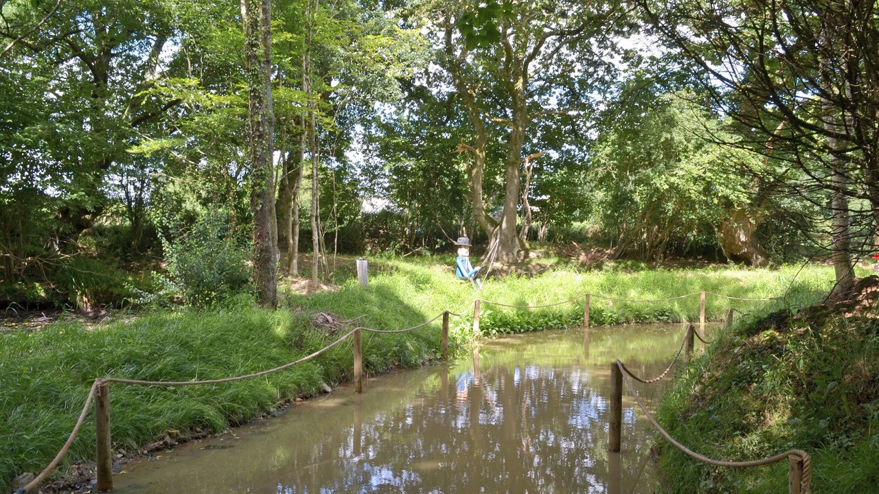 Photo of Others in Launceston