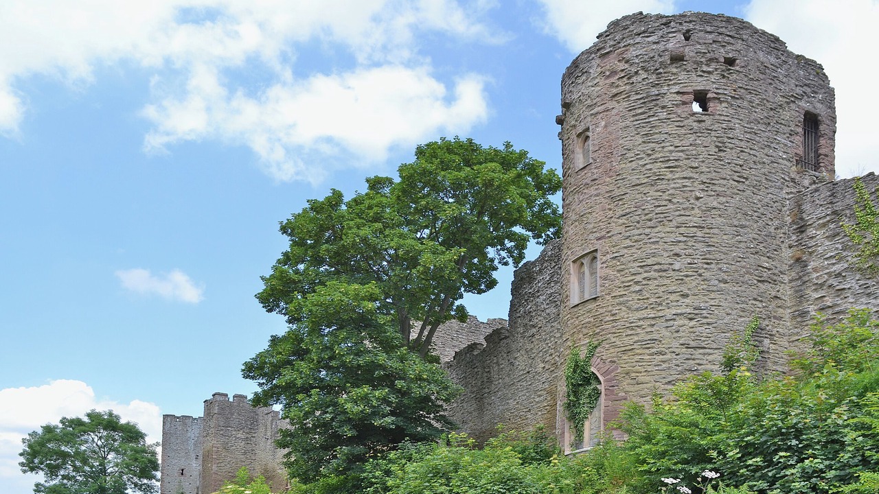 Photo of Others in Acton Scott