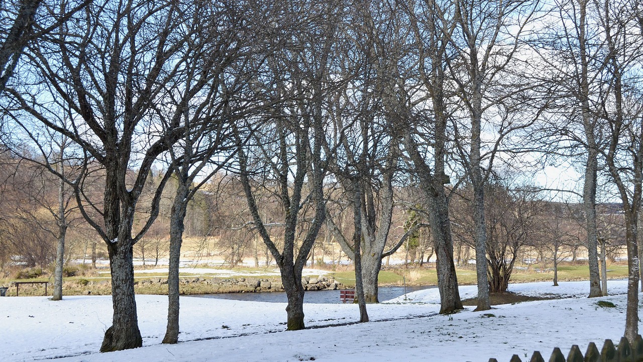 Photo of Others in Aberlour