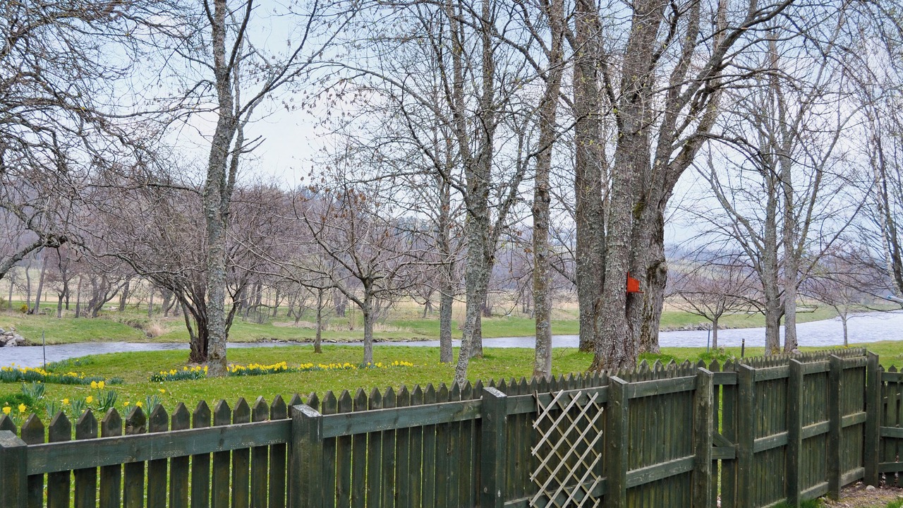 Photo of Others in Aberlour