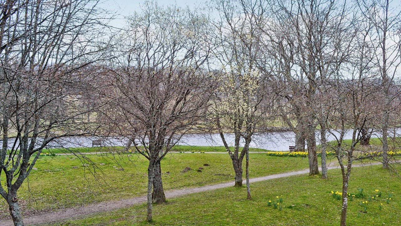 Photo of Others in Aberlour