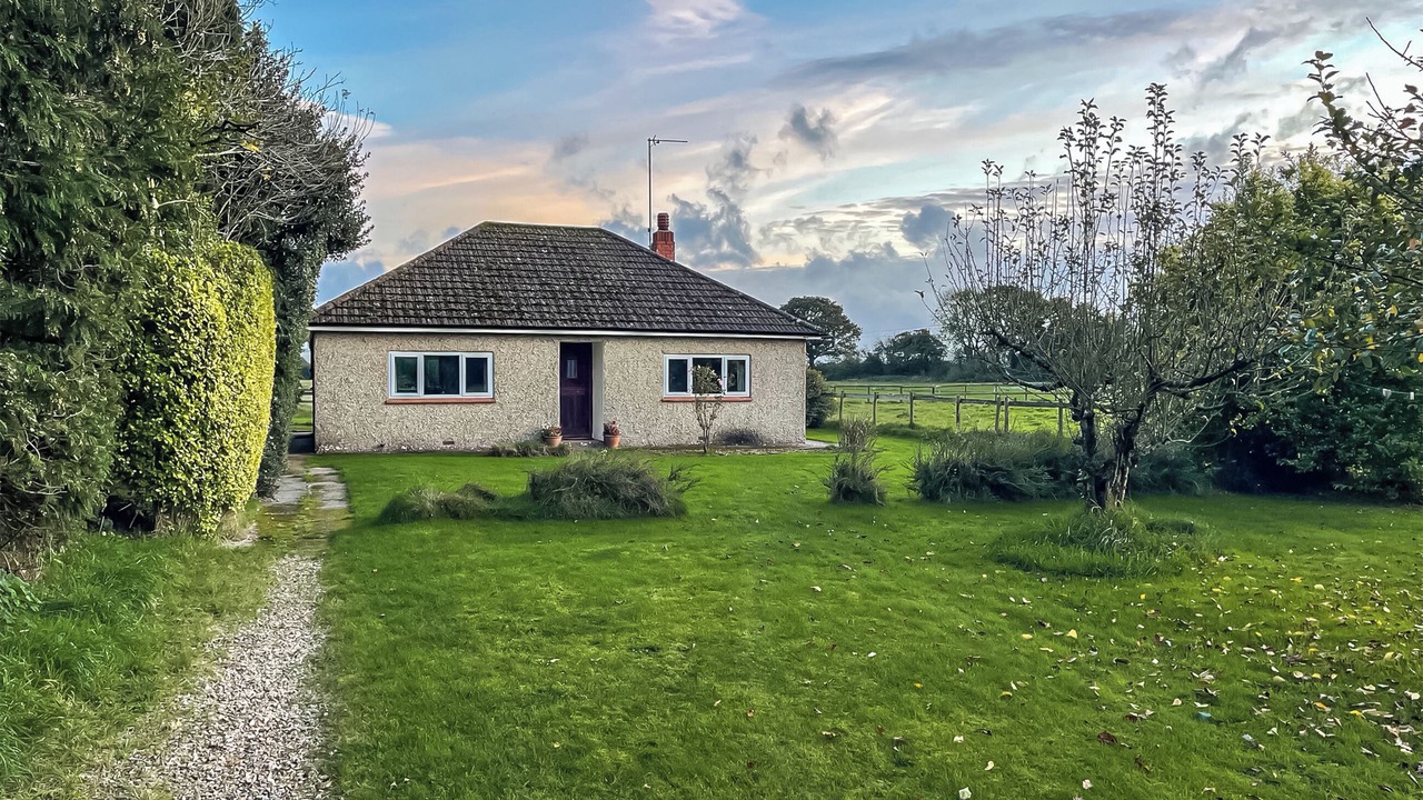 Photo of Others in Shaftesbury