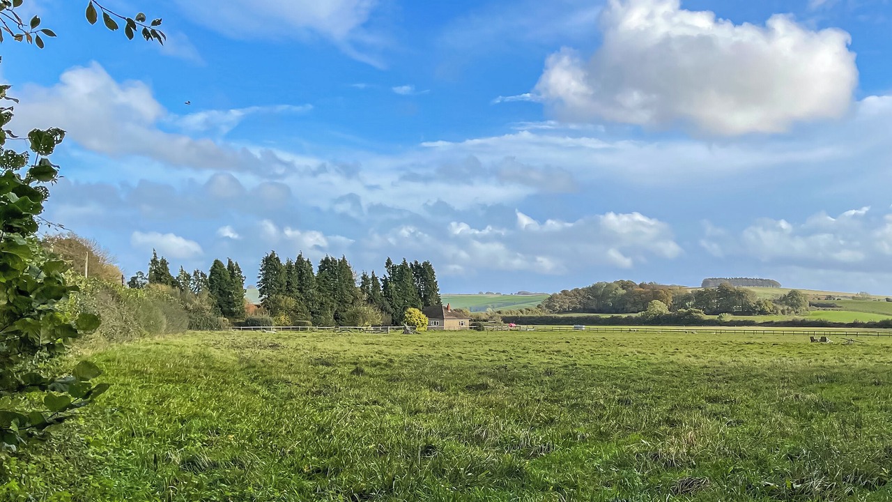 Photo of Others in Shaftesbury