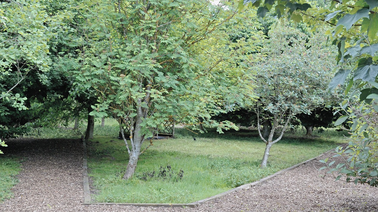 Photo of Outdoor in Ripley