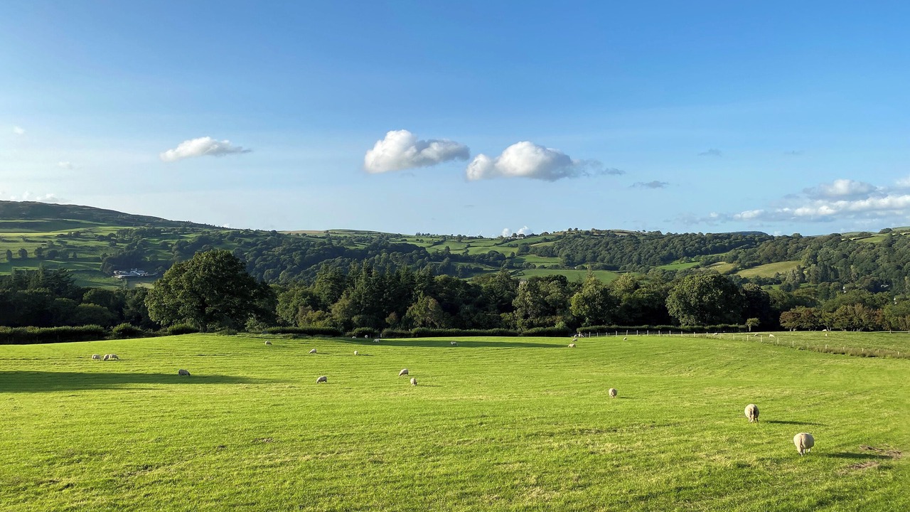 Photo of Others in Corwen