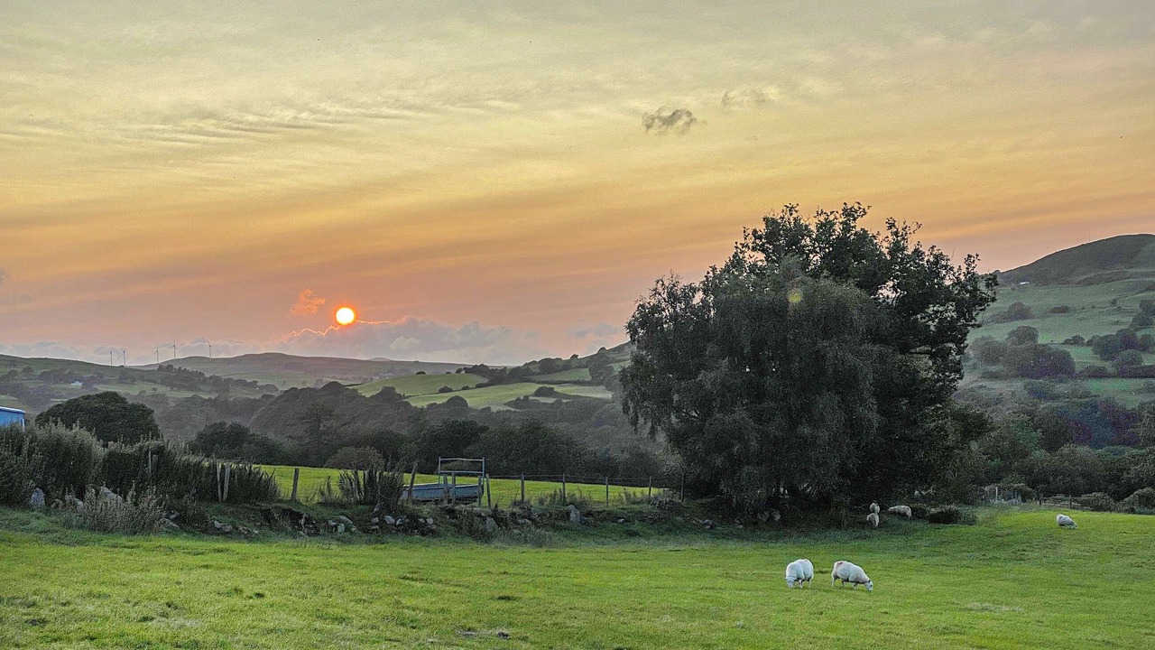 Photo of Others in Corwen