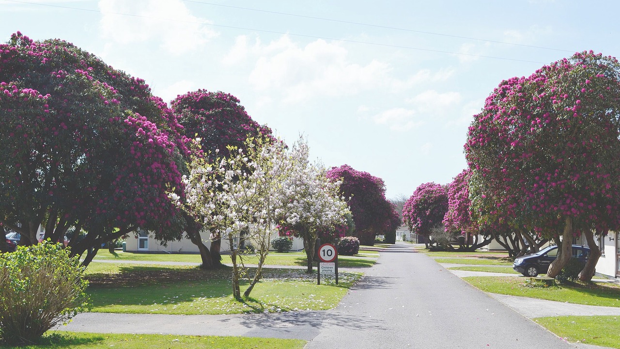 Photo of Others in Liskeard