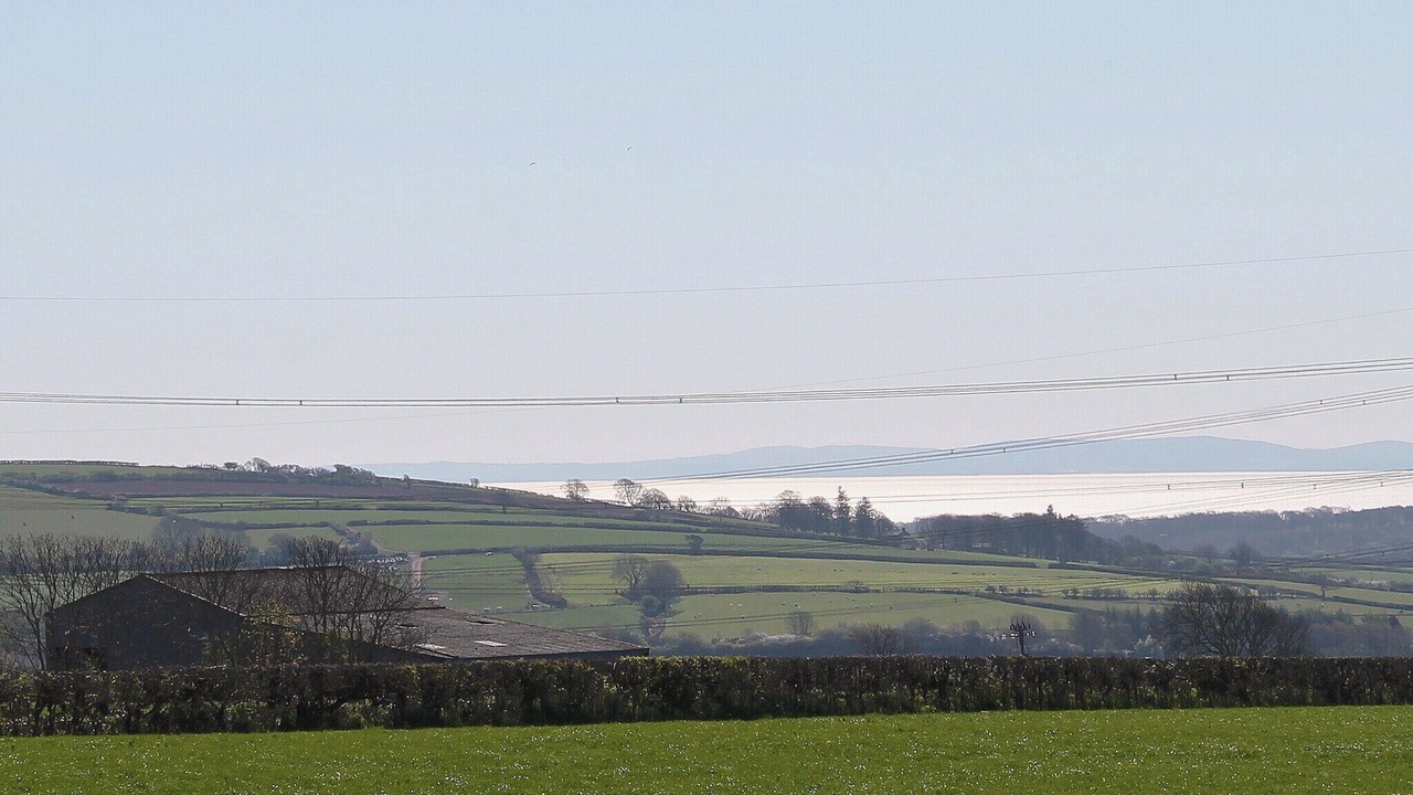 Photo of Others in Whitland