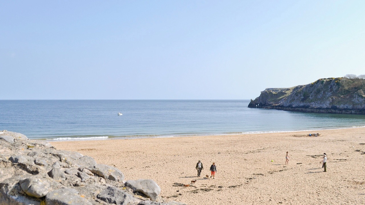 Photo of Others in Whitland