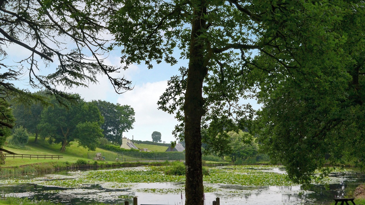 Photo of Outdoor in Liskeard