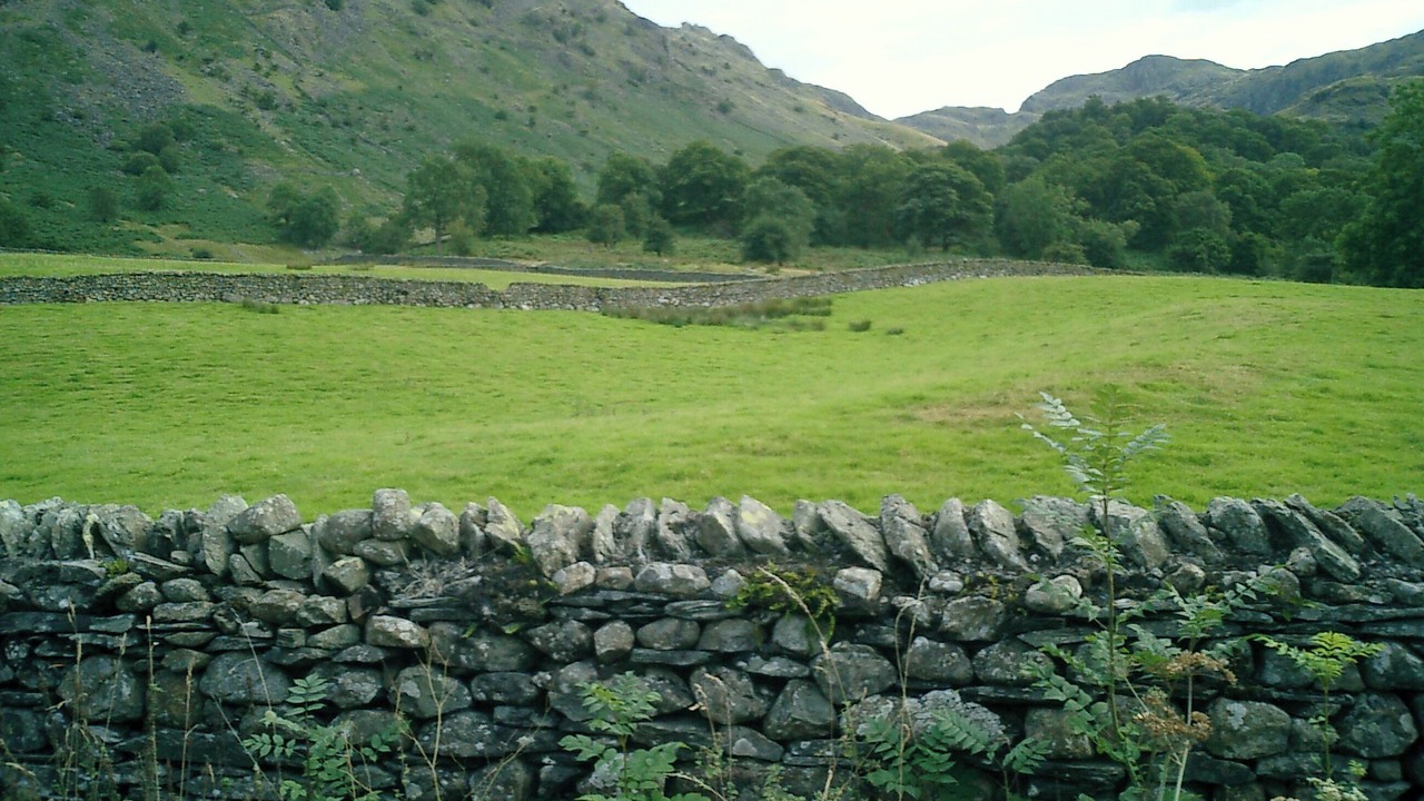 Photo of Others in Borrowdale