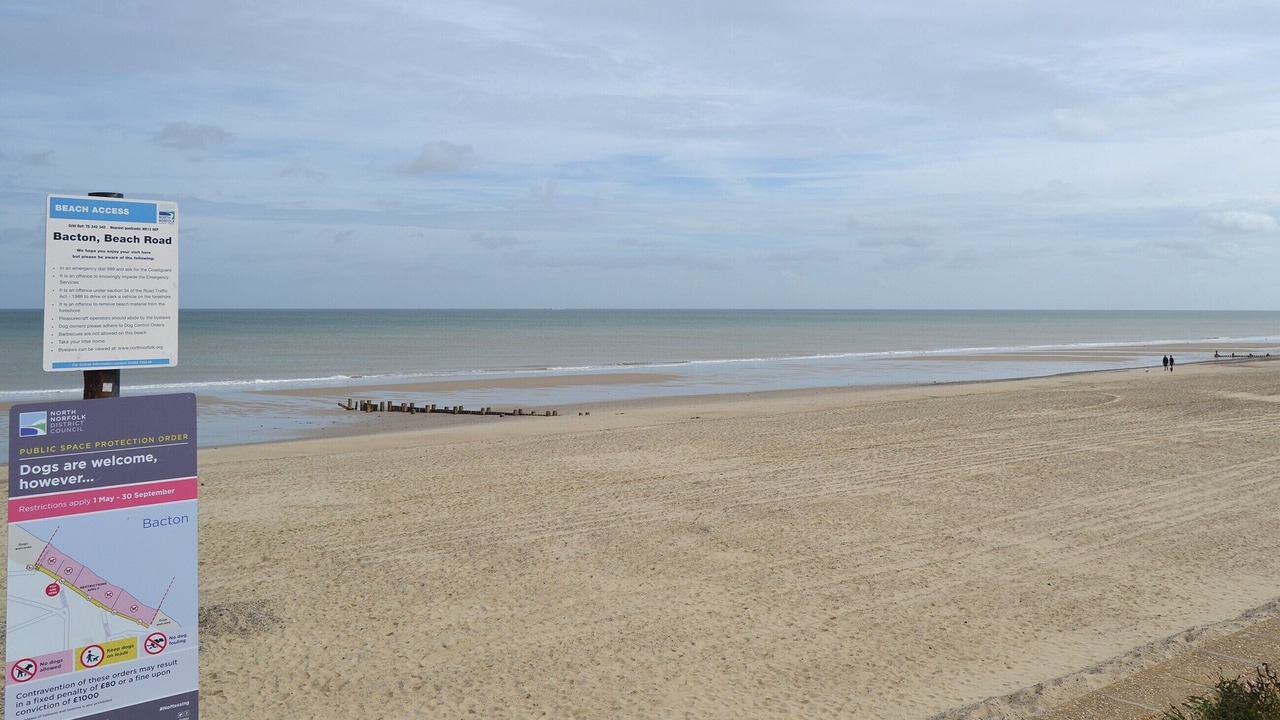 Photo of Others in Walcott