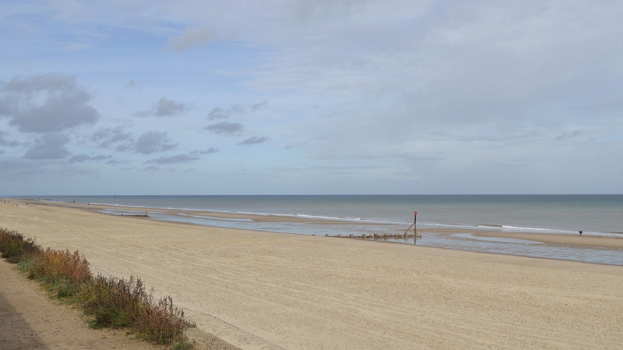 Photo of Others in Walcott