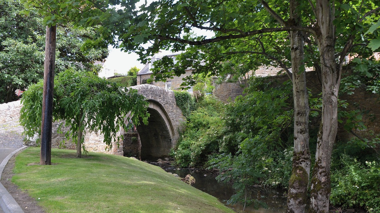 Photo of Others in Ceres