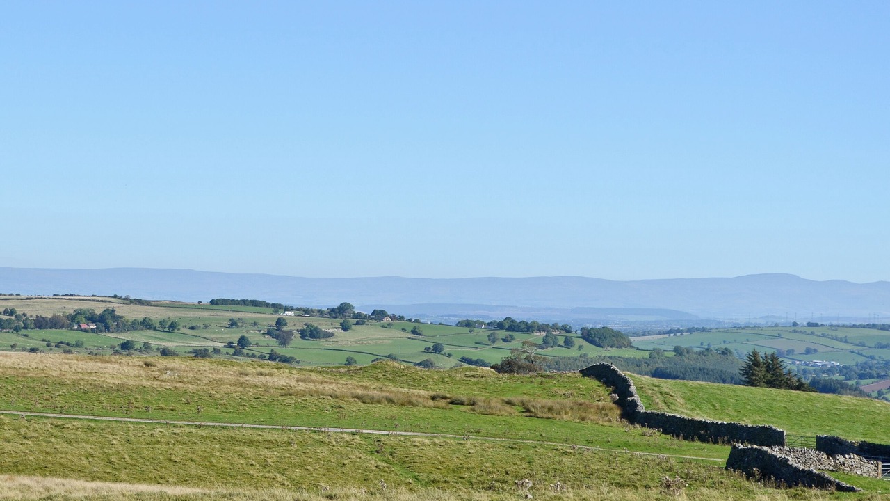 Photo of Others in Westward