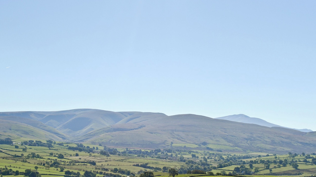 Photo of Others in Westward