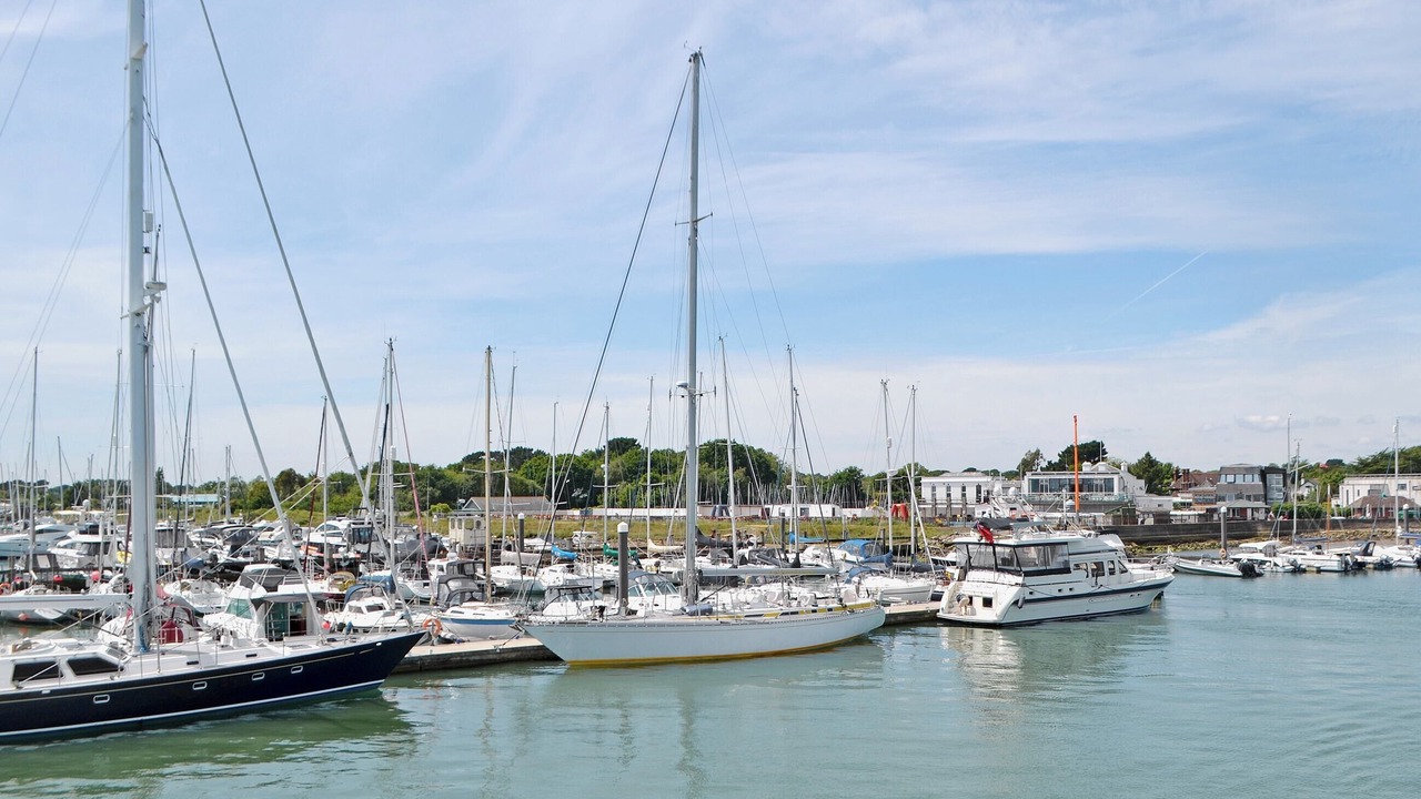 Photo of Others in New Forest District