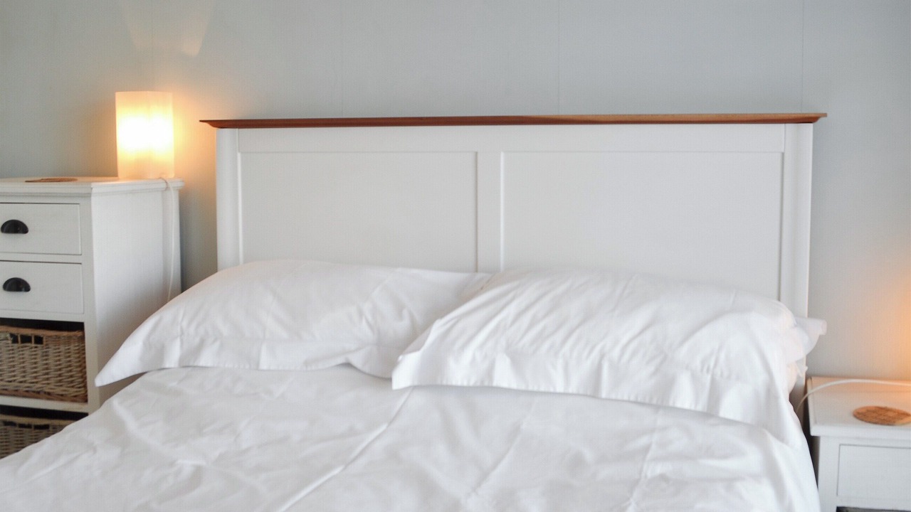 Photo of Others in New Forest District