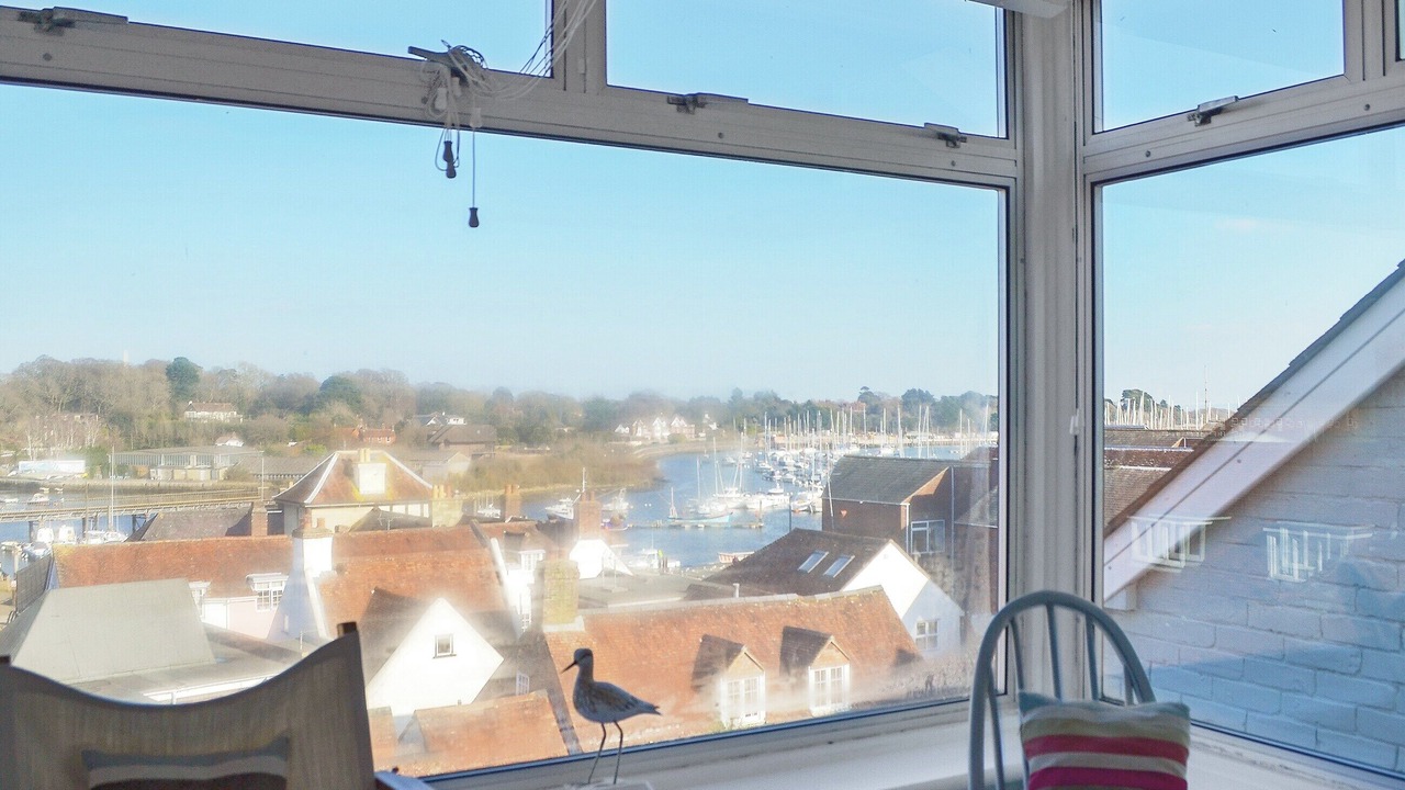 Photo of Others in New Forest District