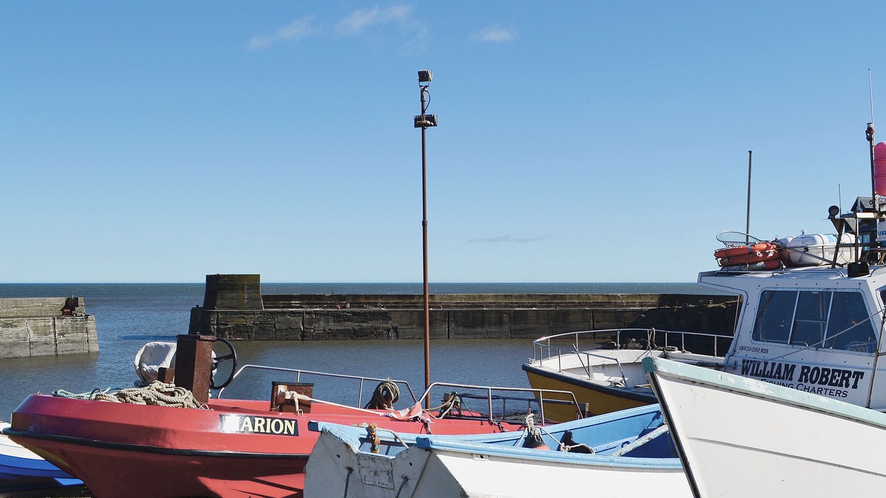 Photo of Others in Craster