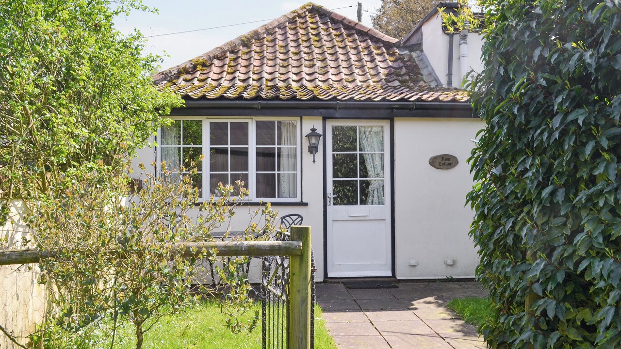 Photo of Others in East Dereham