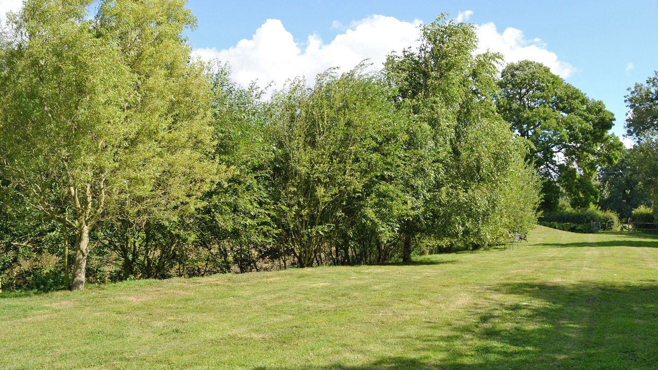 Photo of Outdoor in East Dereham