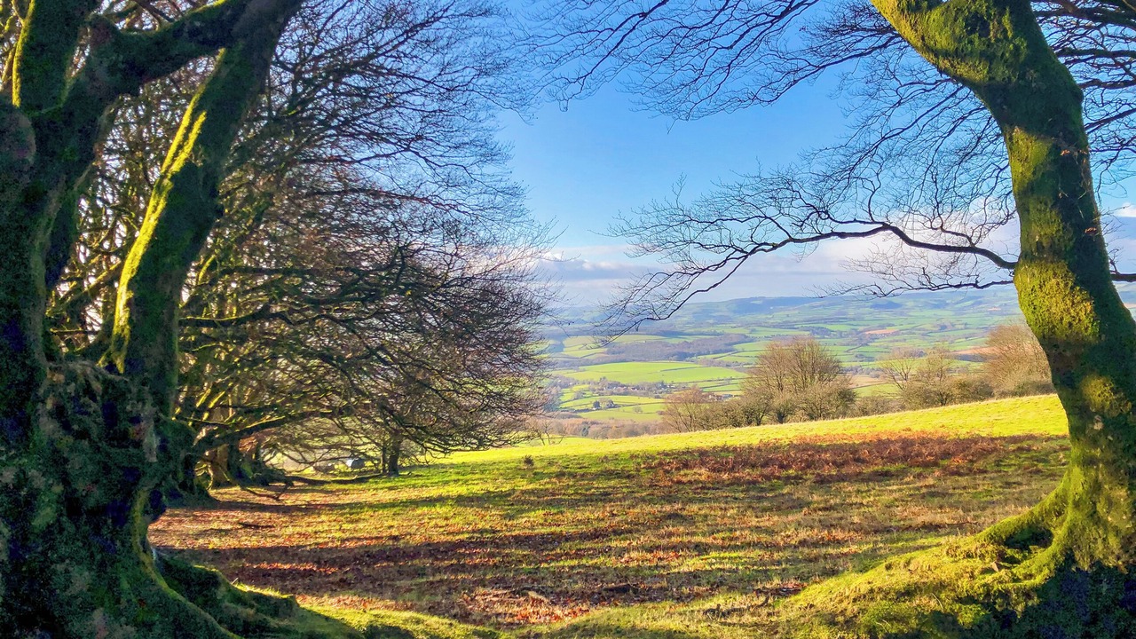 Photo of Others in North Newton