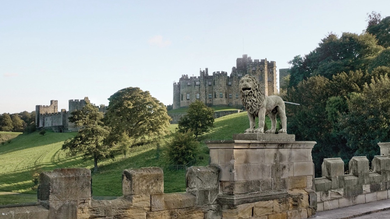 Photo of Others in Warkworth