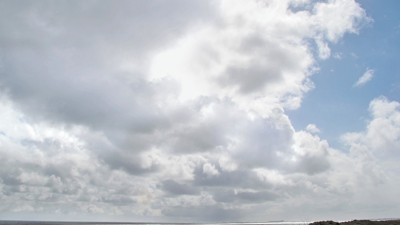 Photo of Others in Warkworth