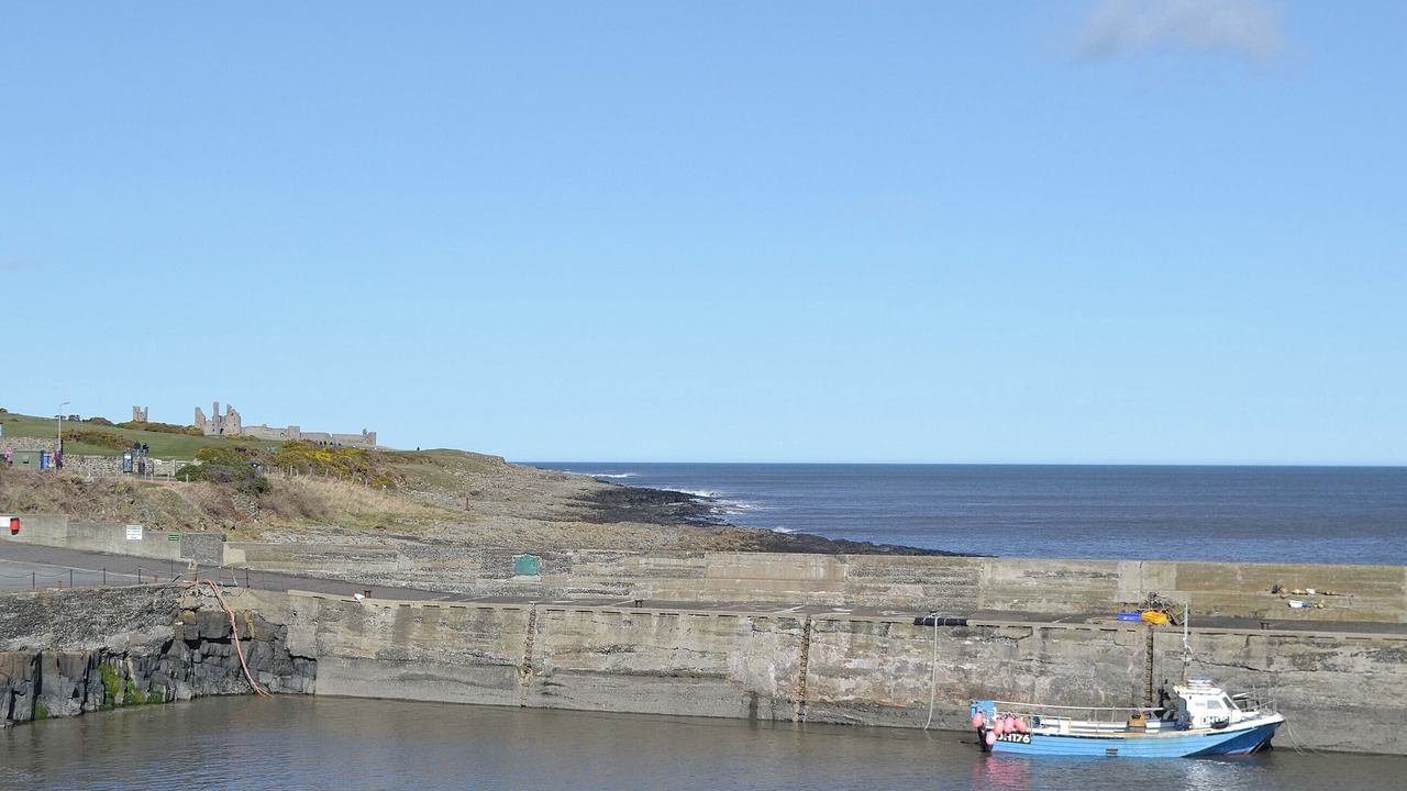 Photo of Others in Warkworth