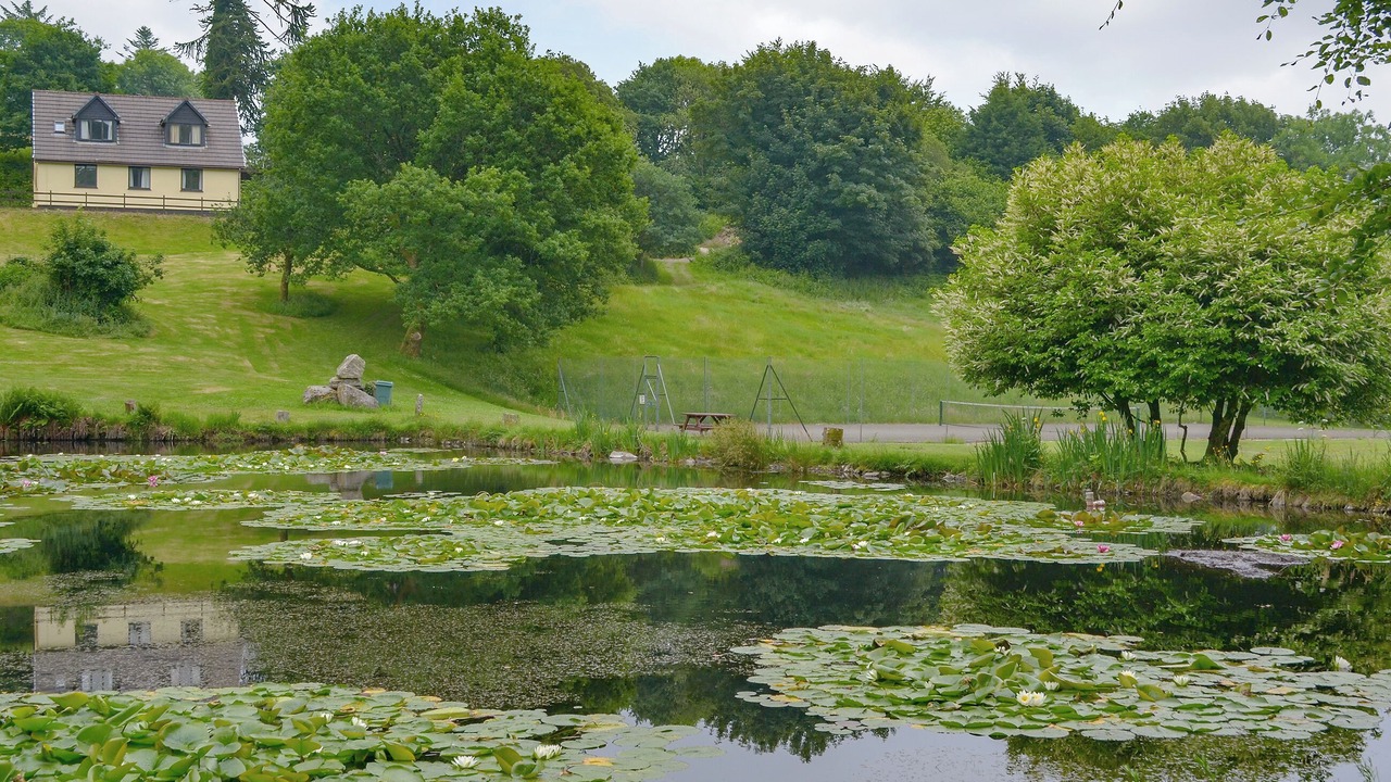 Photo of Outdoor in Liskeard