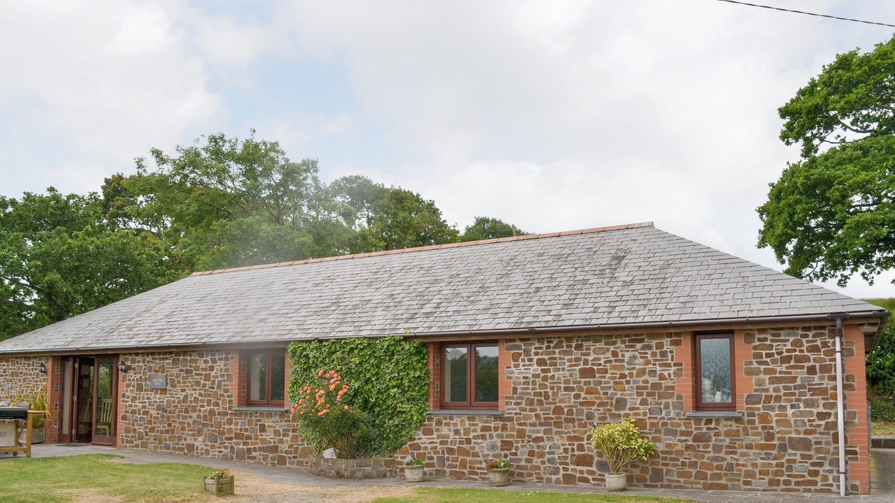 Photo of Others in Widemouth Bay