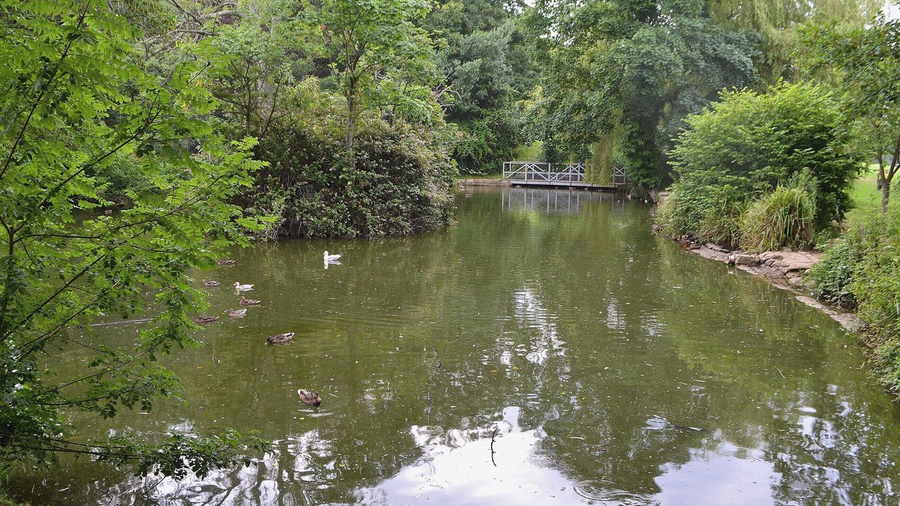Photo of Others in Shanklin