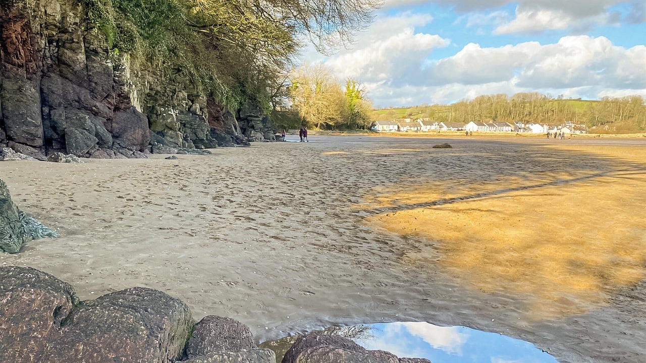 Photo of Others in Pentrefelin