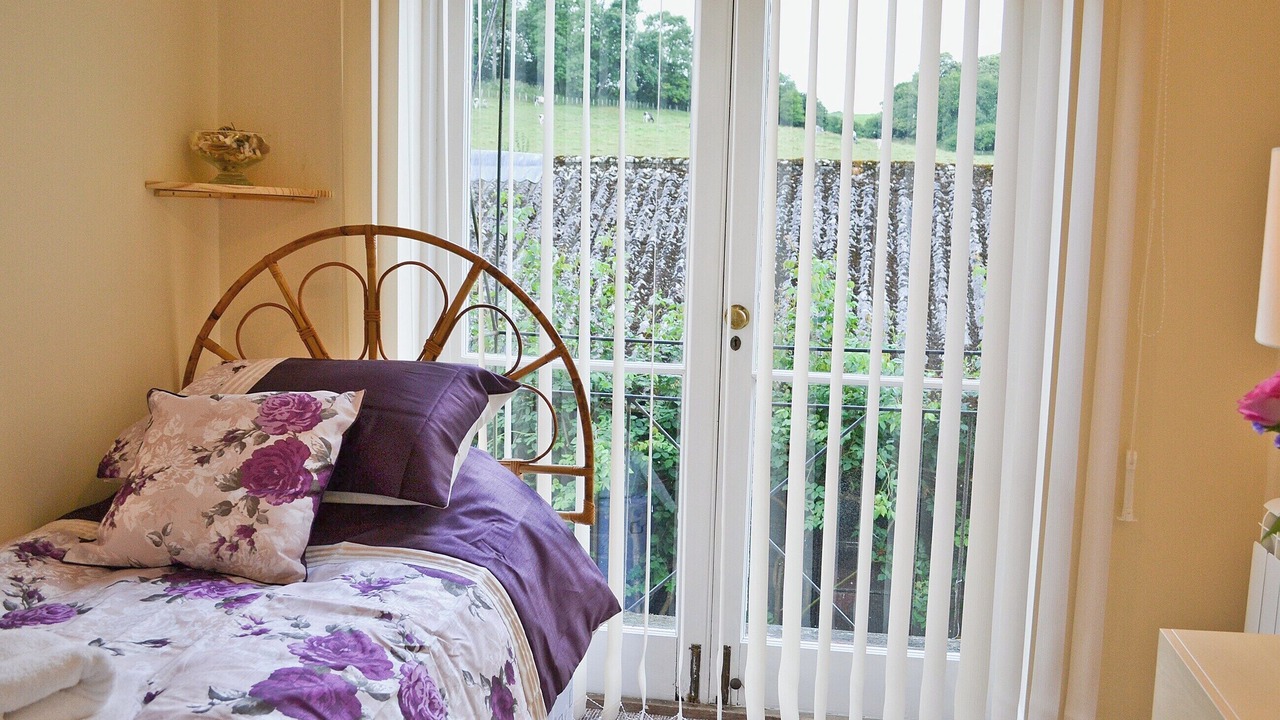 Photo of Others in Denton