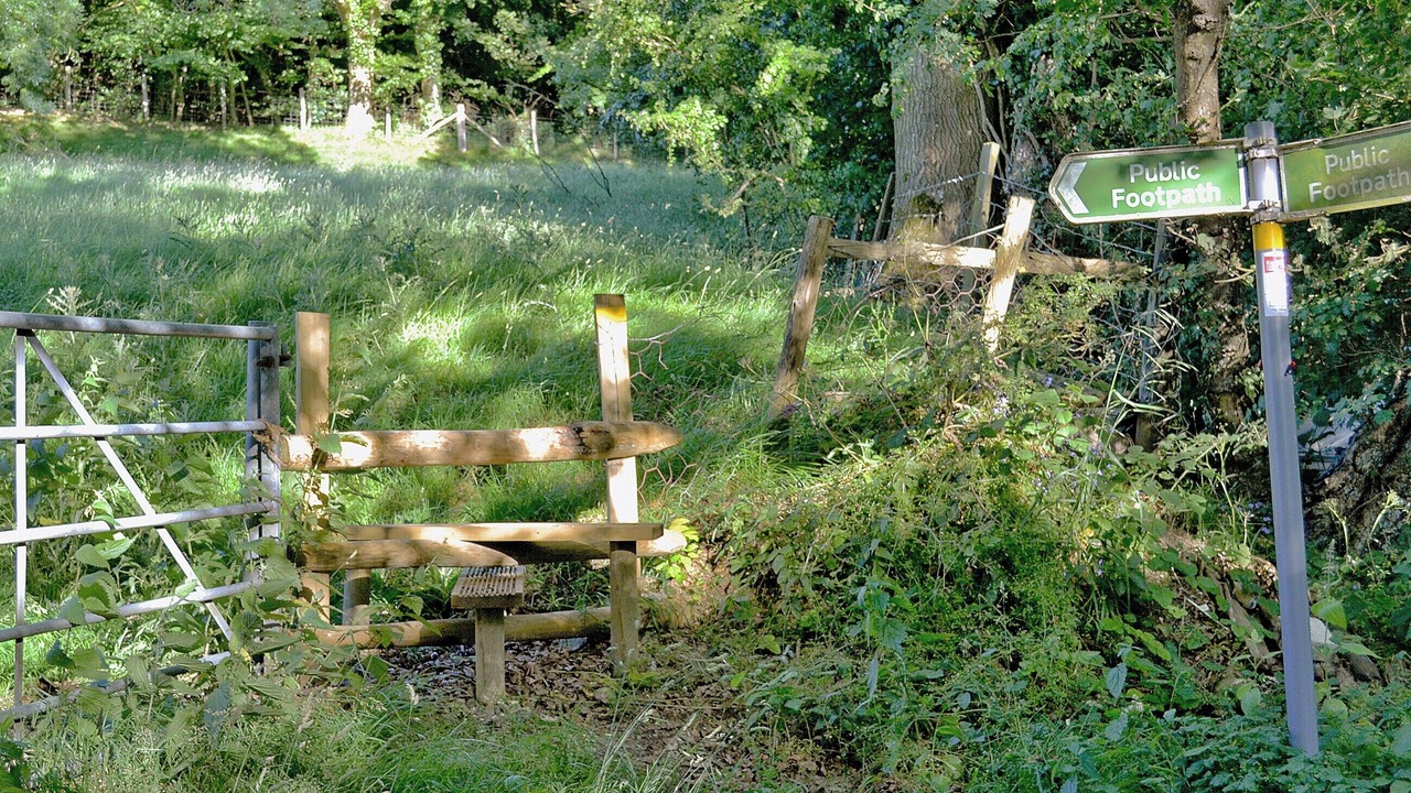 Photo of Others in Denton