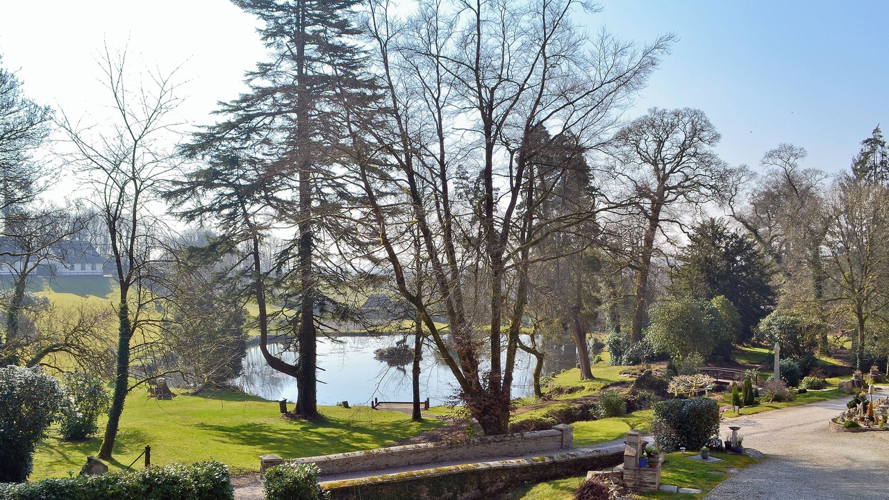 Photo of Outdoor in Liskeard