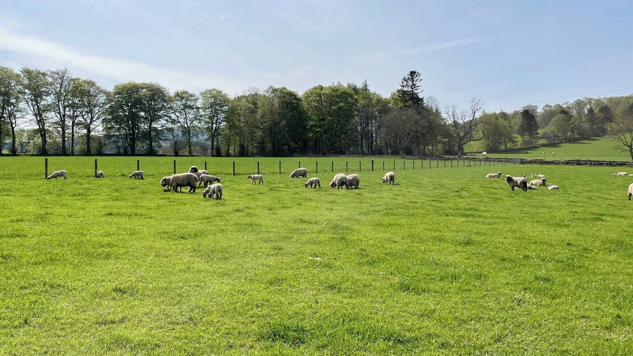 Photo of Others in Insch