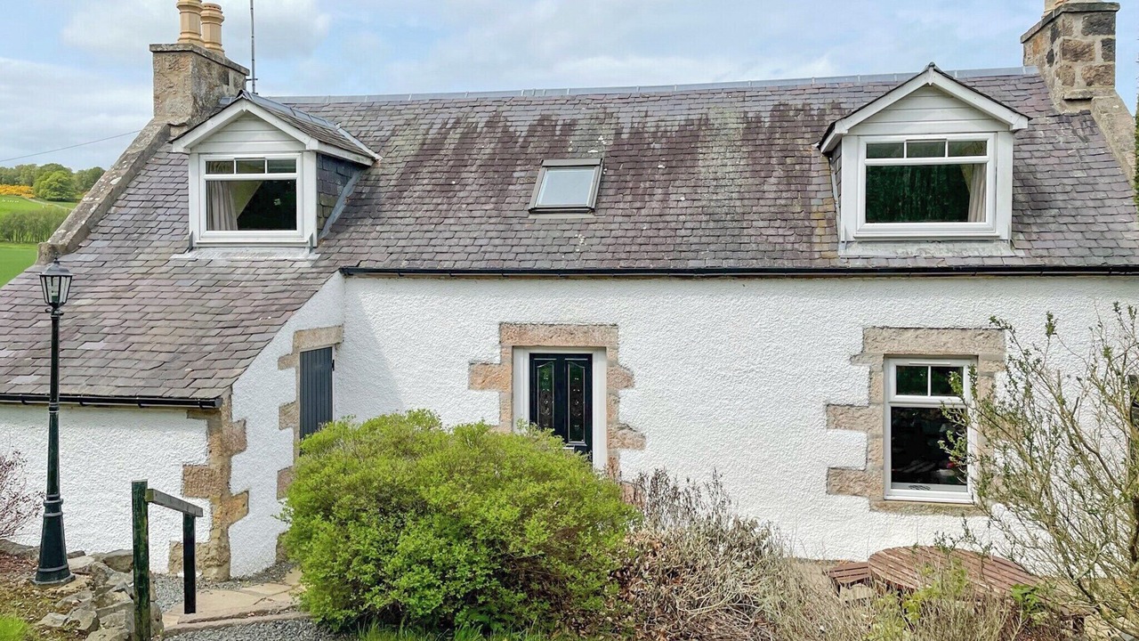 Photo of Others in Insch