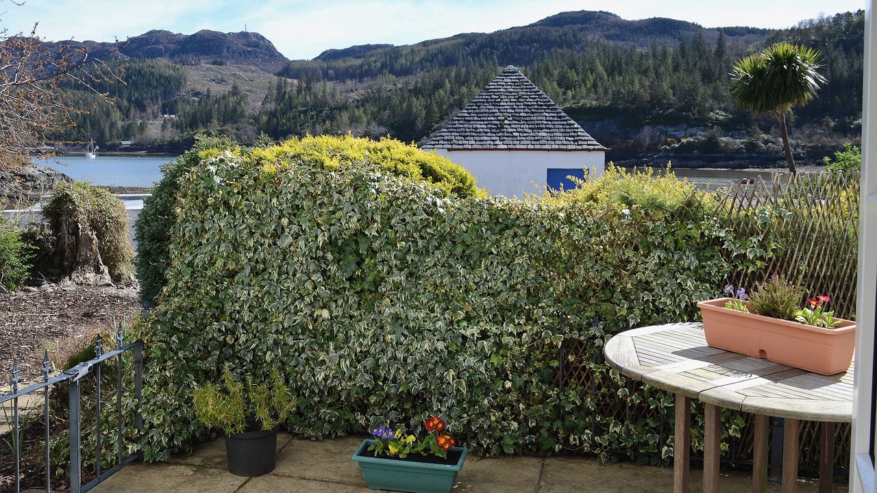 Photo of Others in Plockton