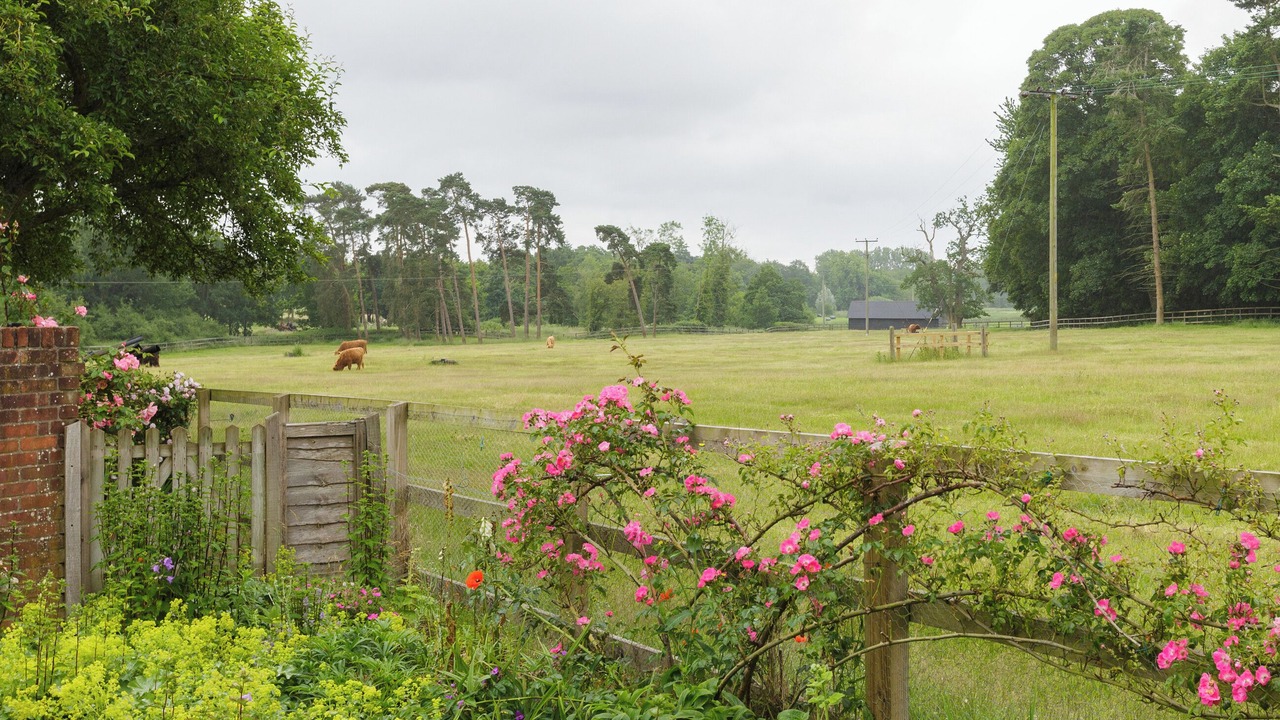 Photo of Others in Diss