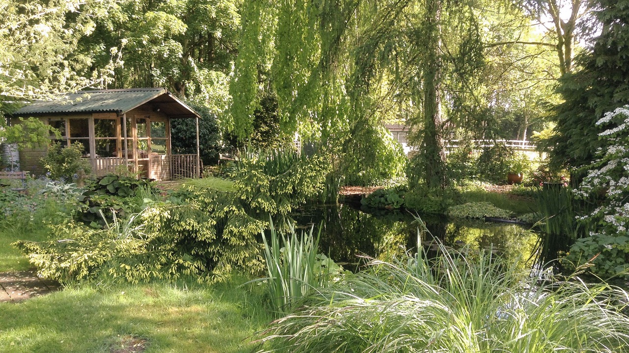 Photo of Outdoor in Diss