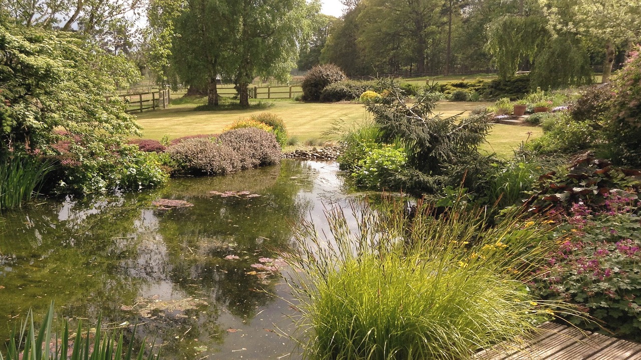 Photo of Outdoor in Diss