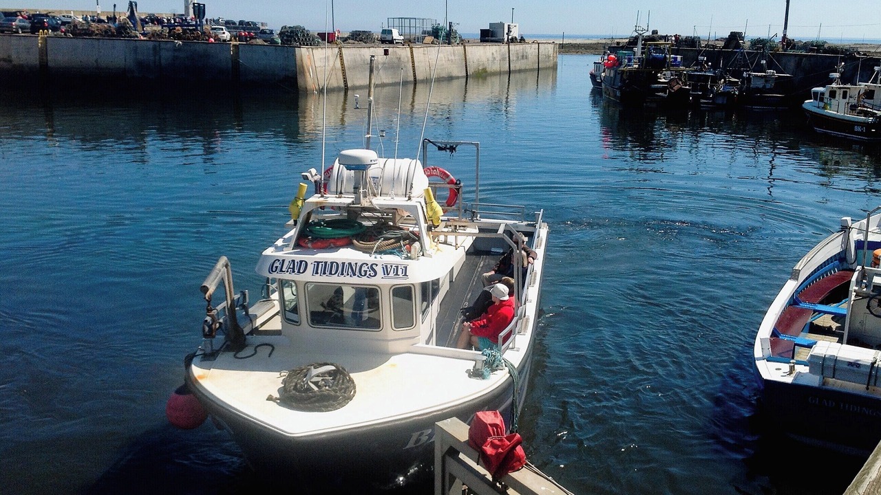 Photo of Others in Seahouses