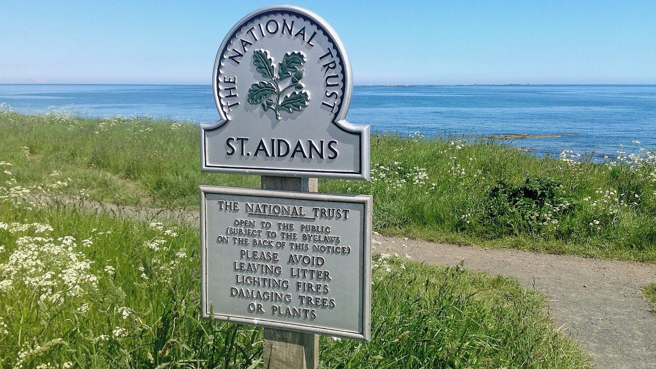 Photo of Others in Seahouses