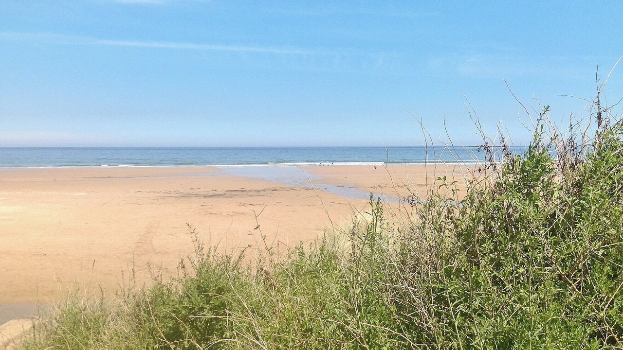 Photo of Others in Seahouses