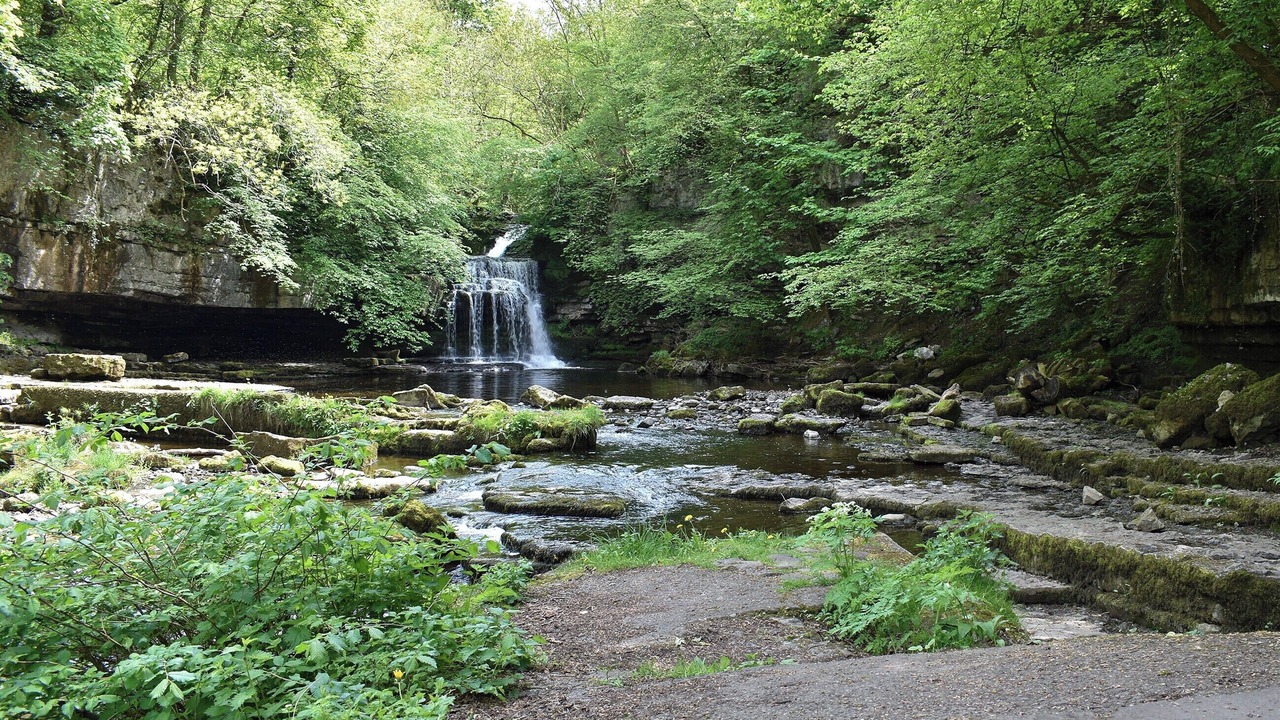 Photo of Others in Leyburn