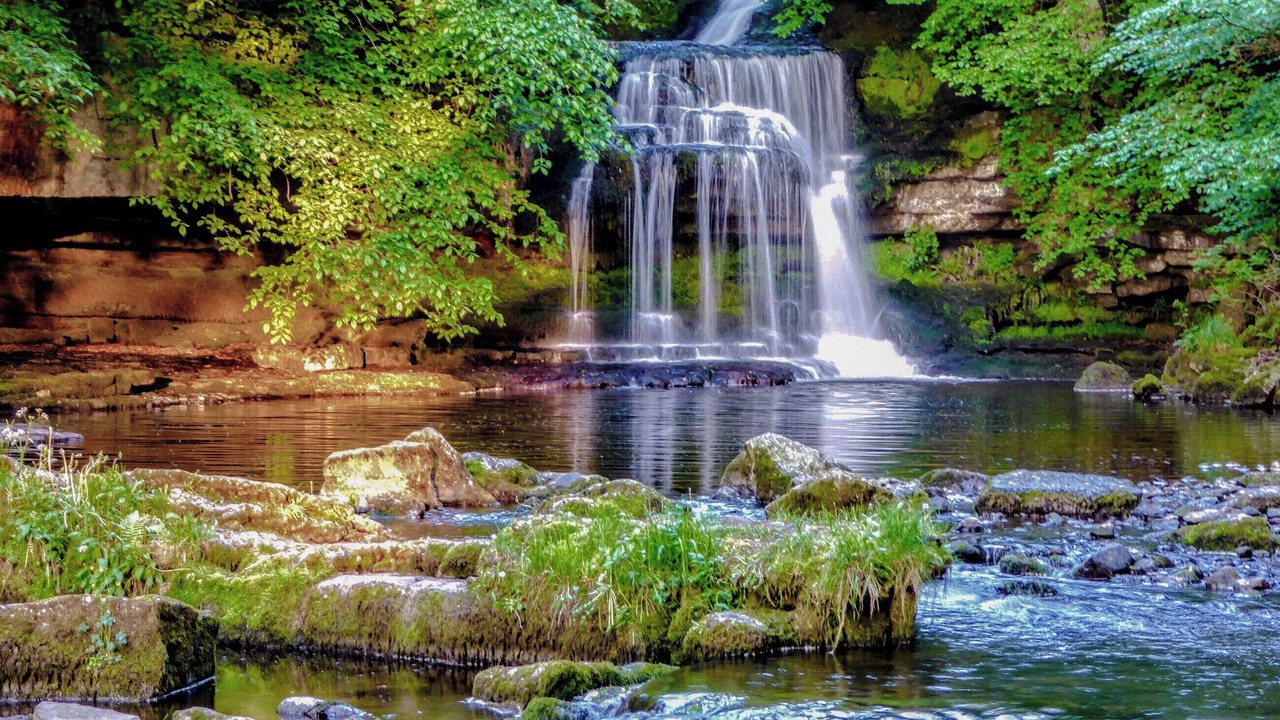 Photo of Others in Leyburn