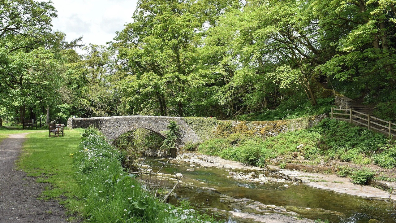 Photo of Others in Leyburn